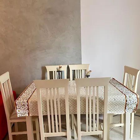 Pau Apartament *